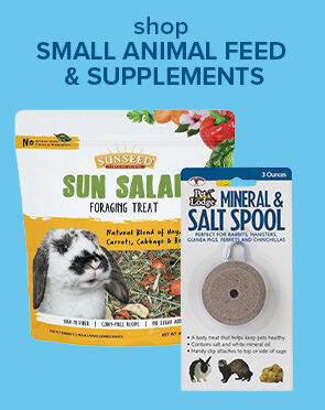 Small Animal Feed & Supplements